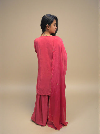 Elegant Zardozi Handwork Ethnic Suit
