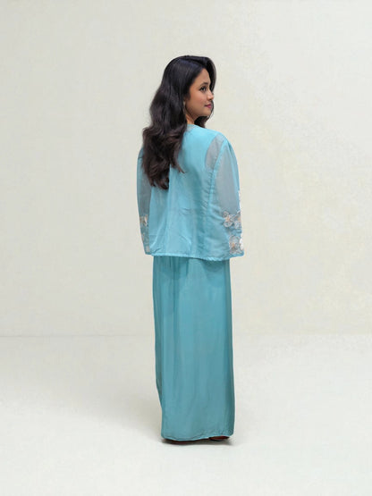 back view of Blue crop top with dhoti skirt and organza shrug featuring applique handwork – Ambika Boutique